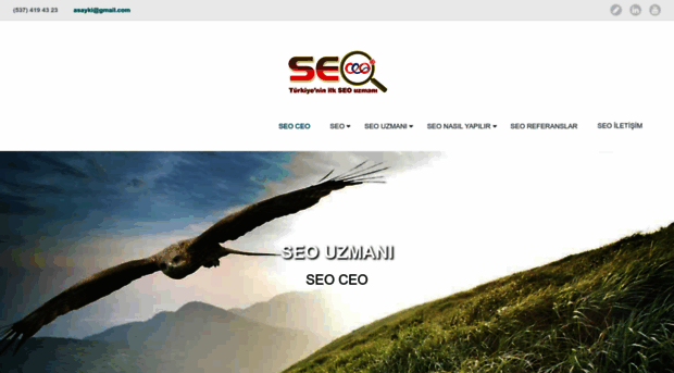 seoceo.info