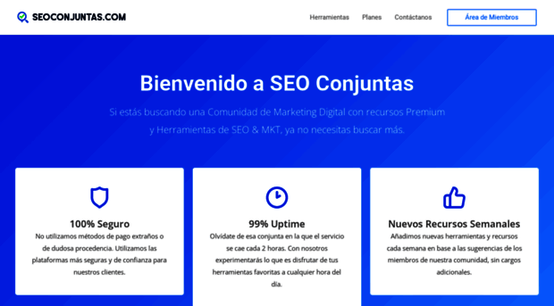 seoconjuntas.com