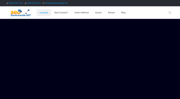 seodanismanlik.net