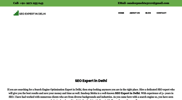 seoexpertindelhi.in