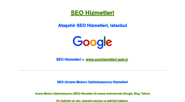 seohizmetleri.web.tr