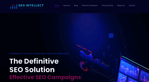 seointellect.com