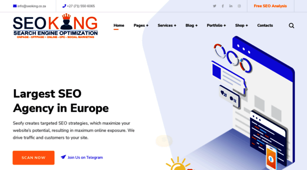 seoking.co.za