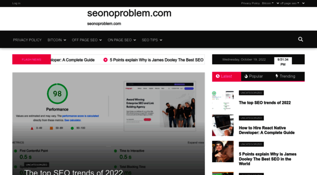 seonoproblem.com