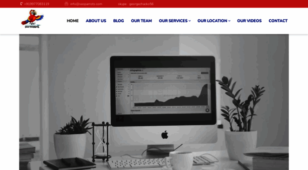 seoparrots.com