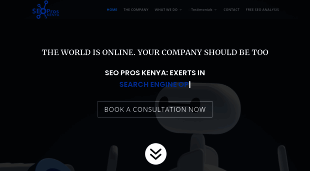 seoproskenya.com