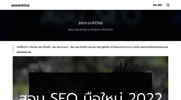 seorankthai.com