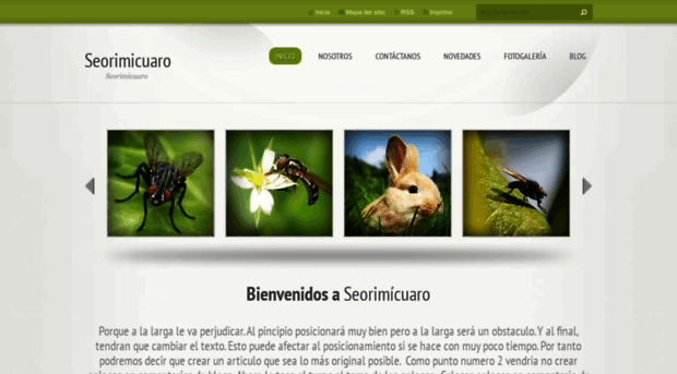 seorimicuaro89.webnode.es
