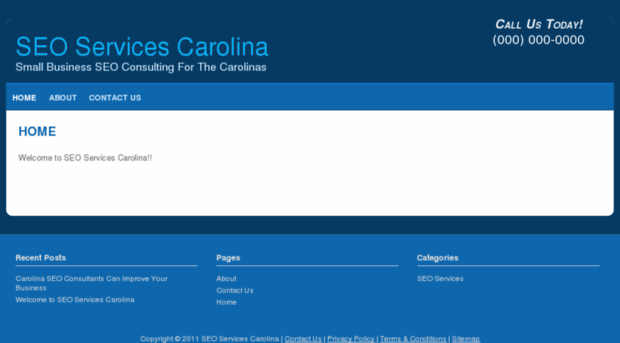 seoservicescarolina.com