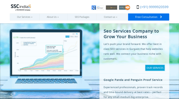 seoservicescompany.co.in