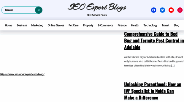 seoservicexpert.com