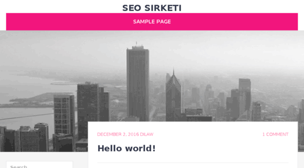 seosirketi.com