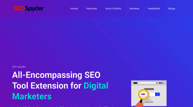 seospyder.io