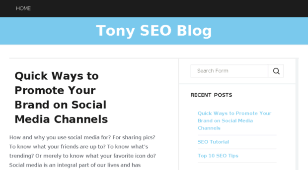 seotonyblog.com