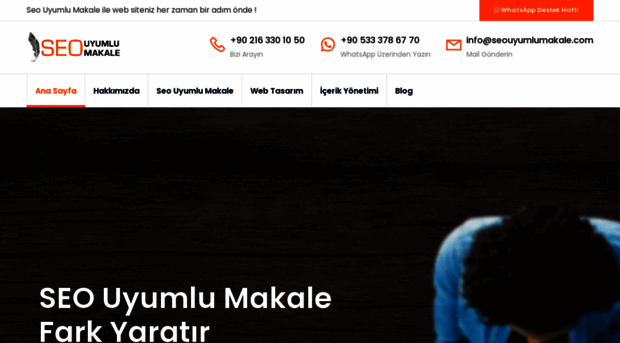 seouyumlumakale.com