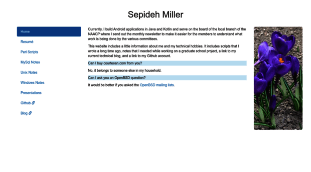 sepidehmiller.com