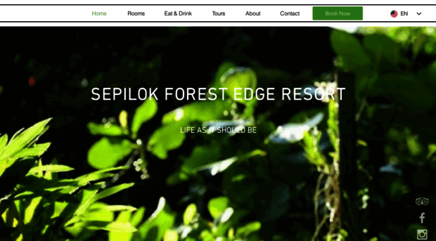 sepilokforestedgeresort.com