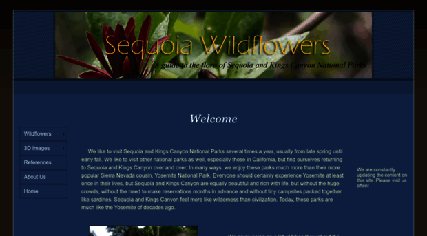 sequoiawildflowers.com