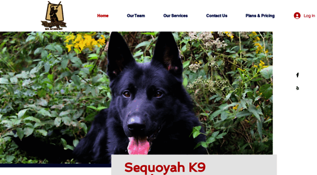 sequoyahk9academy.com