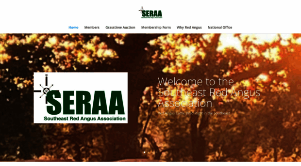 seraa.org