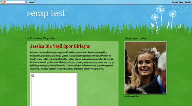 seraptest.blogspot.com.tr
