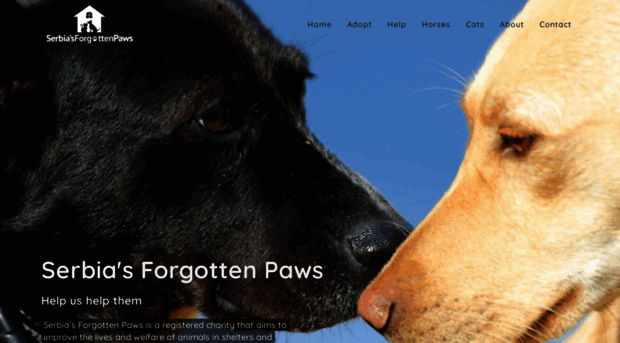 serbias-forgotten-paws.com