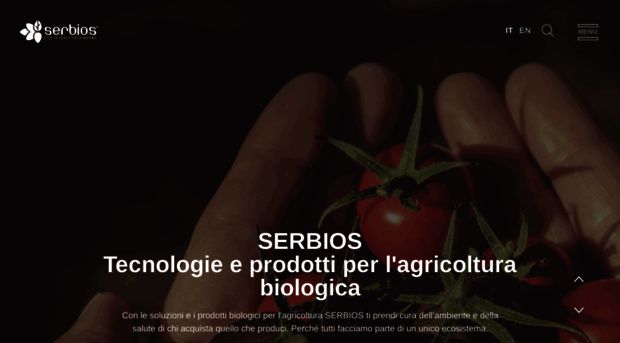 serbios.it