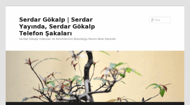 serdargokalp.net