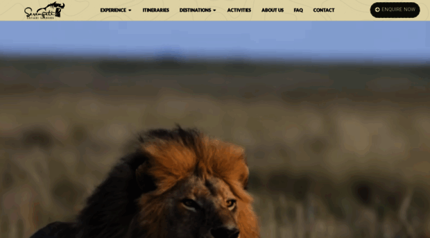 serengetisafariseekers.com