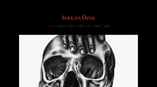 serkanozer.com