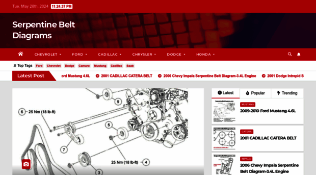 serpentinebeltdiagrams.com