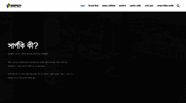 serpkey.com