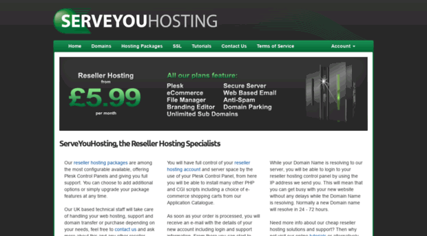 serveyouhosting.com