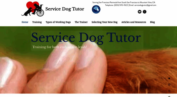 servicedogtutor.com