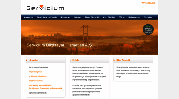 servicium.com