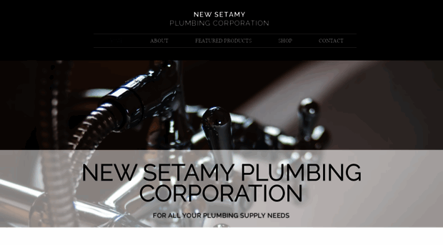 setamyplumbingcorp.com