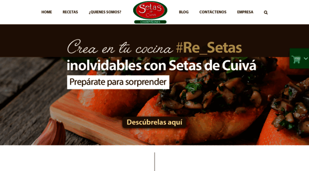 setasdecuiva.com