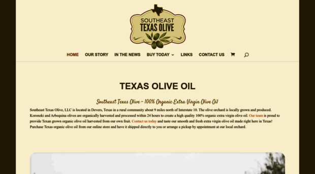 setexasolive.com