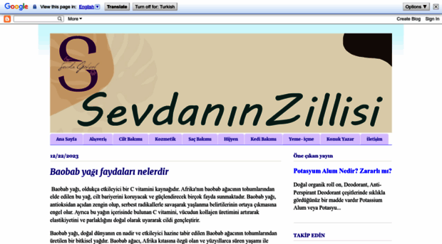 sevdaninzillisi.blogspot.com