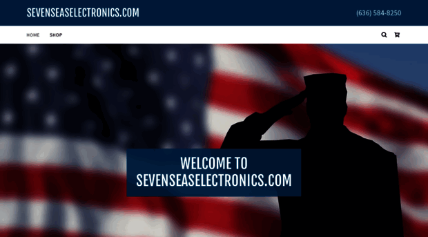 sevenseaselectronics.com