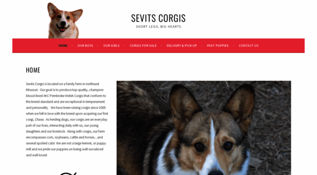 sevitscorgis.com