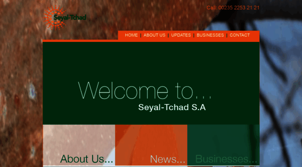 seyal-tchad.com