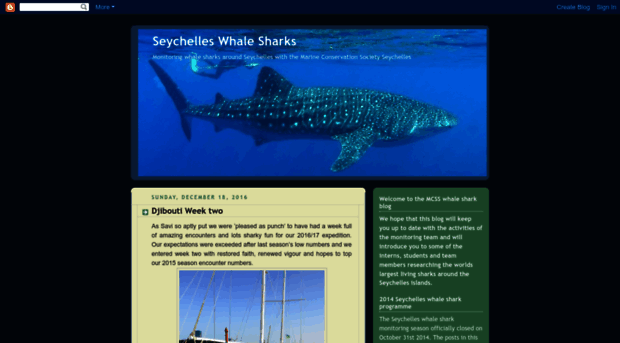 seychelles-whale-sharks.blogspot.com
