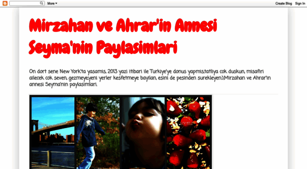 seymamirzahan.blogspot.com