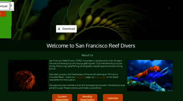 sfreefdivers.org