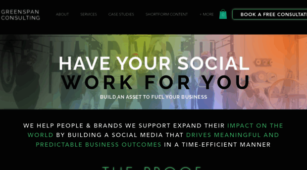 sgreenspanconsulting.com