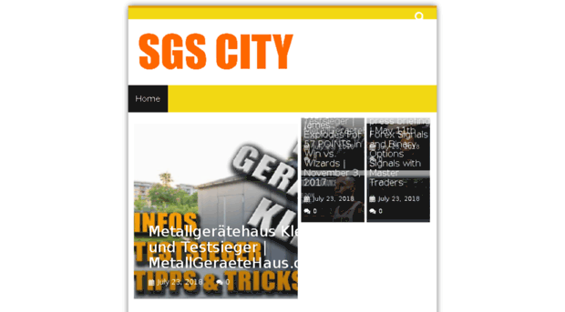 sgscity.com