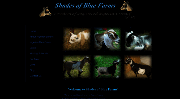 shadesofbluefarms.weebly.com