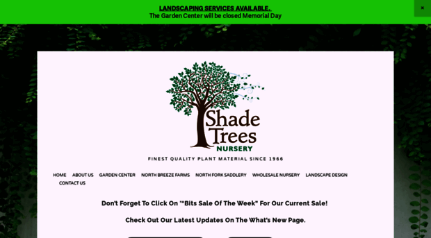 shadetreesnursery.com