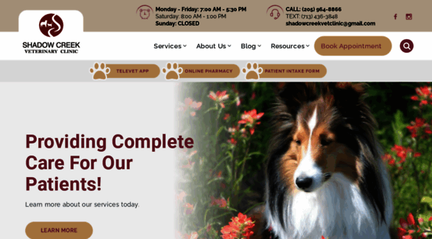 shadowcreekvet.com